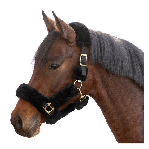 Horse-friends Plüschhalfter Almada