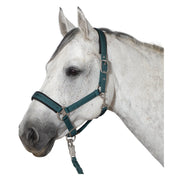 Cheval de Luxe Halfter