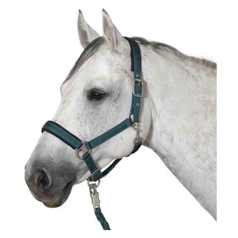 Cheval de Luxe Halfter