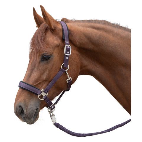 Cheval de Luxe Halfter