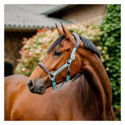 HORSEWARE Signature Halfter