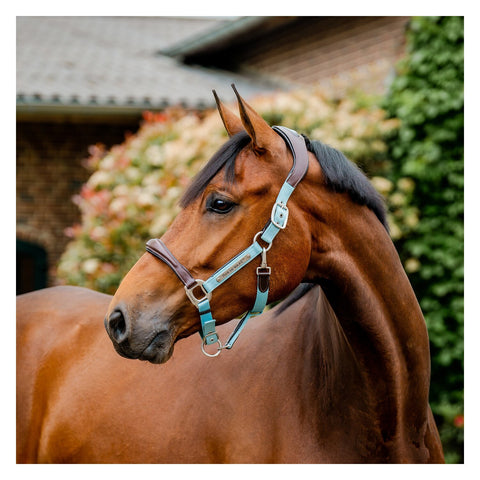 HORSEWARE Signature Halfter