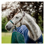 HORSEWARE Signature Halfter Braided