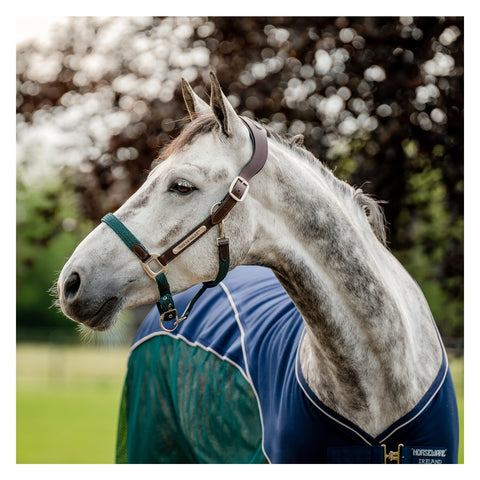 HORSEWARE Signature Halfter Braided