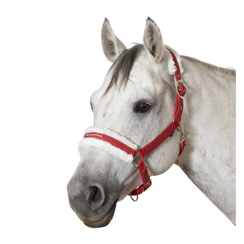 Horse-friends Weihnachtshalfter