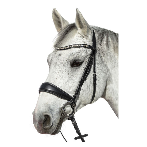 Loesdau Trensenzaum Venice