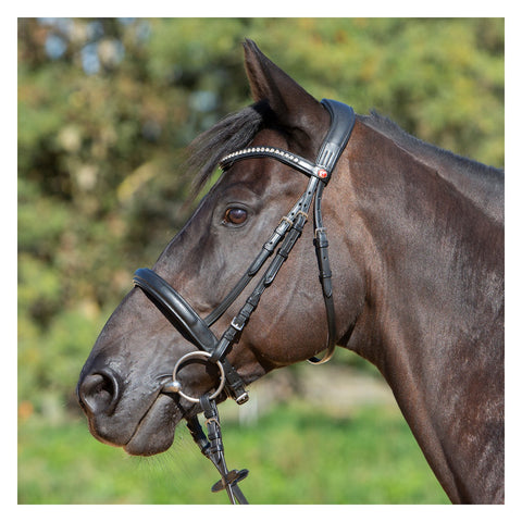 kieffer Trensenzaum Kieffer Ultrasoft® Sue