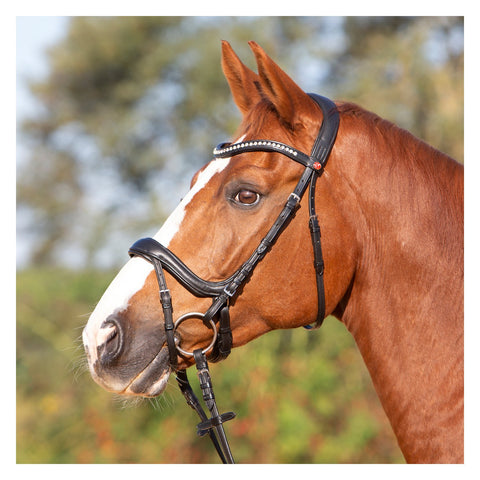 kieffer Trensenzaum Kieffer Ultrasoft® Amy