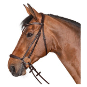 Loesdau Trensenzaum Linz