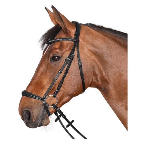 Loesdau Trensenzaum Linz