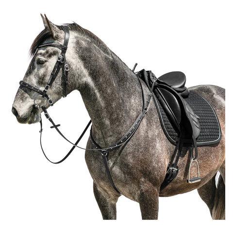 Loesdau Vorderzeug Saumur