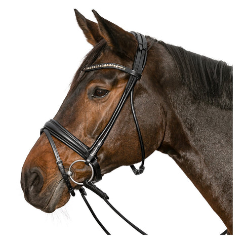 Cheval de Luxe Trensenzaum Montpellier