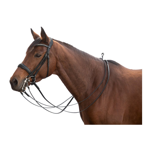 Loesdau Kandarenzaum Derby