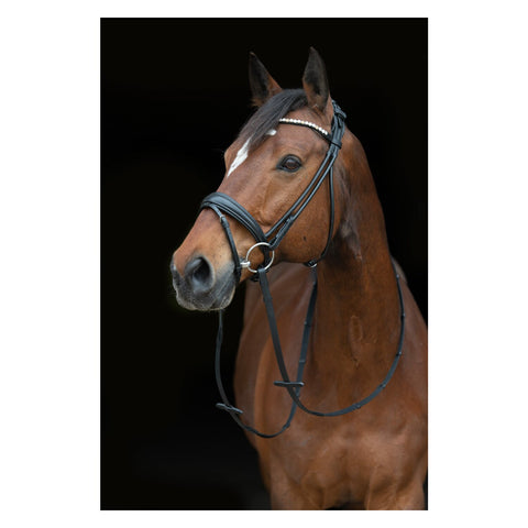 Cheval de Luxe Trensenzaum Barranquilla