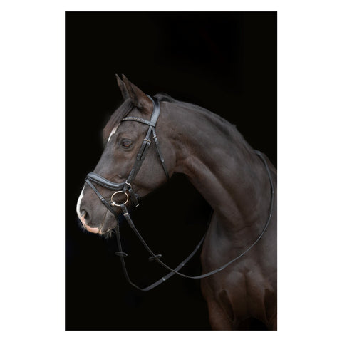 Cheval de Luxe Trensenzaum Genova