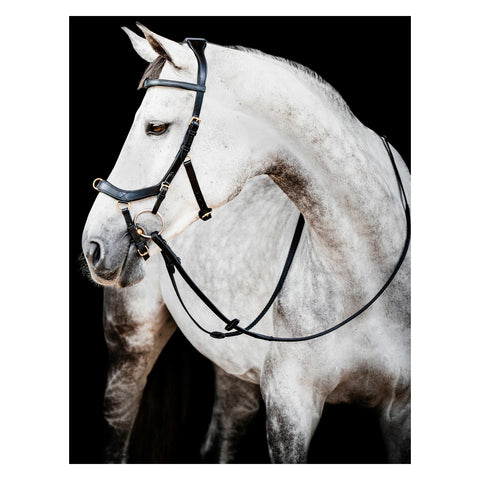 HORSEWARE Micklem 2 Multi Bridle