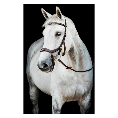 HORSEWARE Micklem 2 Multi Bridle
