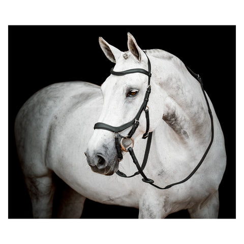 HORSEWARE Micklem 2 Competion Bridle