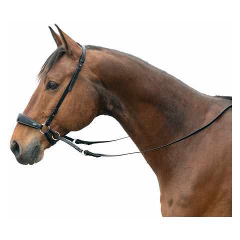 F.R.A. Gebisslose Zäumung Lami Skala 4