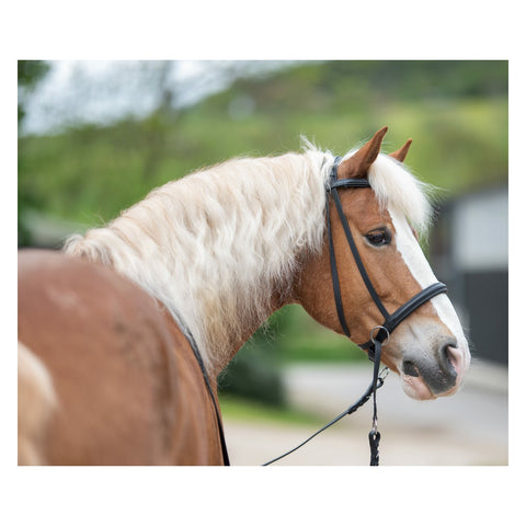 F.R.A. Gebisslose Zäumung Indy - Skala 5