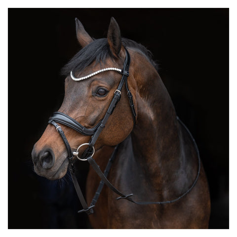 PASSIER Trensenzaum Fantastic