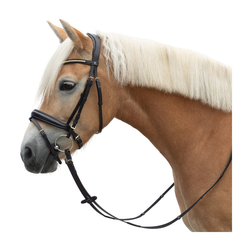 MONTIVUM Trensenzaum Oslo