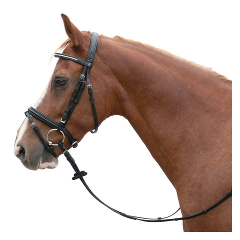 MONTIVUM Trensenzaum Turin