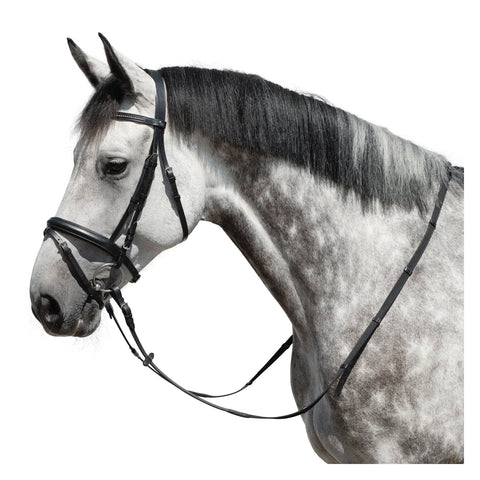 MONTIVUM Trensenzaum Odense