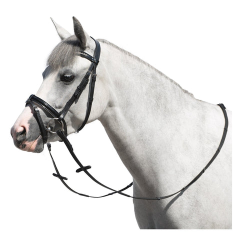 MONTIVUM Trensenzaum Derry