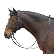 MONTIVUM Spanischer Trensenzaum Saragossa