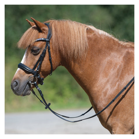 MONTIVUM Pony- und Shetty-Trensenzaum Managua