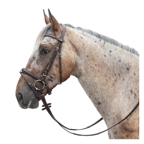 MONTIVUM Trensenzaum Breslau