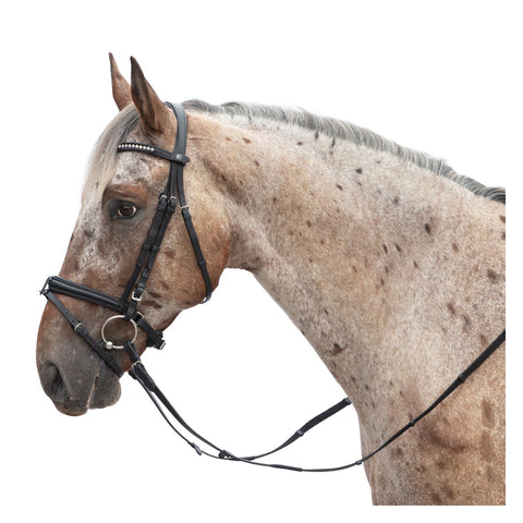 MONTIVUM Trensenzaum Breslau