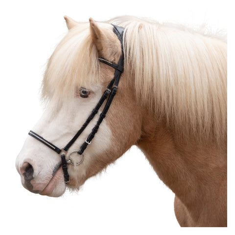 MONTIVUM Islandtrensenzaum Akranes