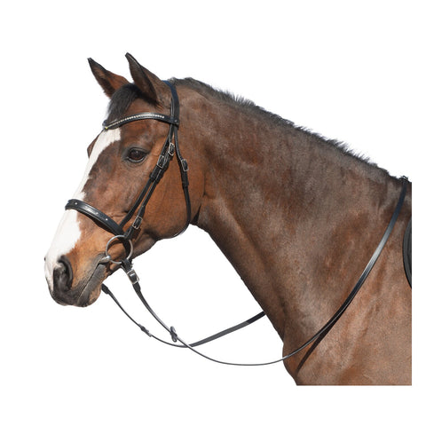 MONTIVUM Trensenzaum Cádiz