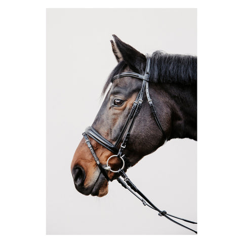 DÖBERT Trensenzaum Köln