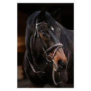 DÖBERT Trensenzaum Köln