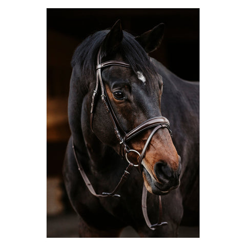 DÖBERT Trensenzaum Köln