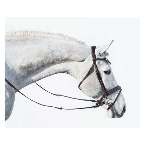 DÖBERT Trensenzaum Mainz