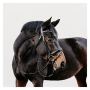 DÖBERT Trensenzaum Mainz