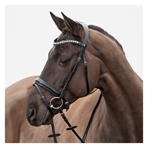 DÖBERT Trensenzaum Hamburg