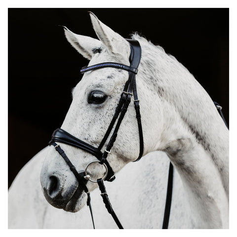 DÖBERT Trensenzaum Leipzig