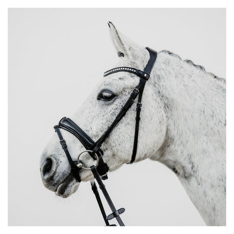 DÖBERT Trensenzaum München Premium