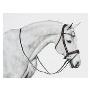 DÖBERT Trensenzaum Stuttgart Premium