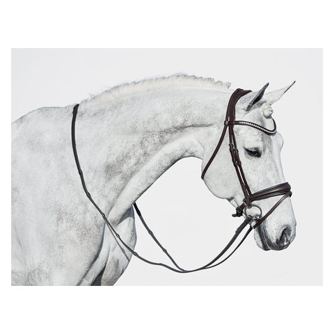 DÖBERT Trensenzaum Stuttgart Premium