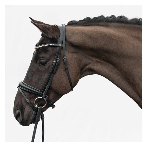 DÖBERT Trensenzaum Stuttgart Premium