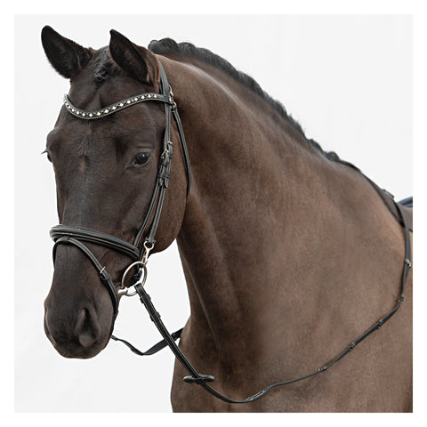 DÖBERT Trensenzaum Düsseldorf Premium