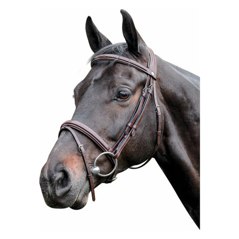 PRESTIGE Bombierte Trense