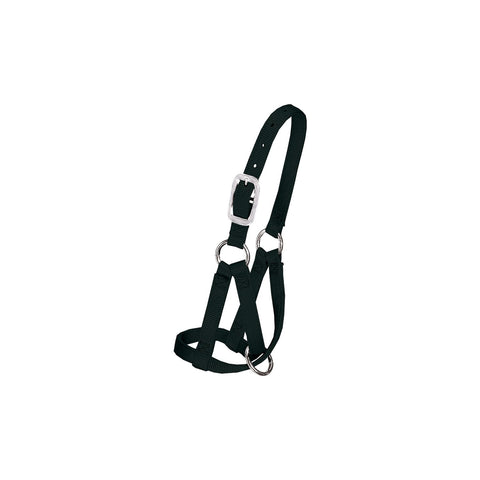 WEAVER LEATHER Lama-Halfter
