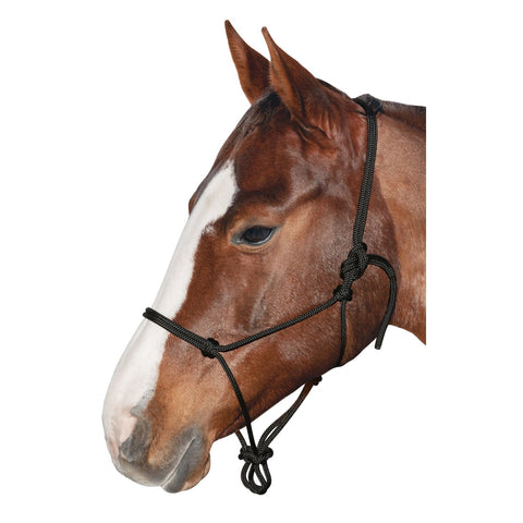 BROCKAMP Knotenhalfter Horse-Man-Halfter